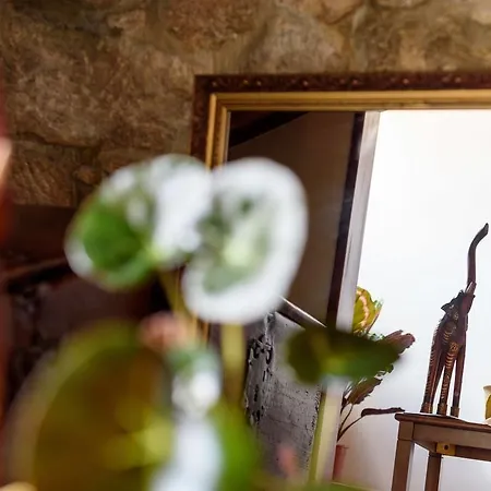 Casa rural Casa Costoia